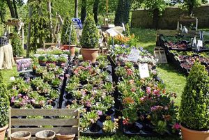 Kloster Lorch, Event, GartenLust, Pflanzen