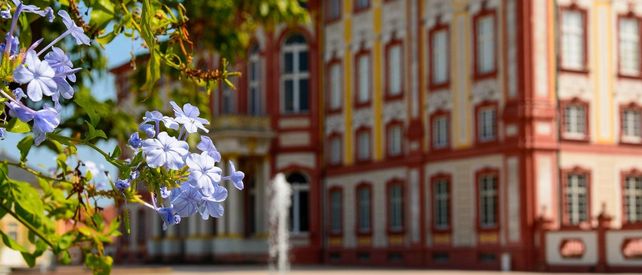 Schloss Bruchsal, Blüten vor der Schlossfassade