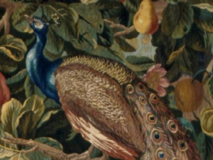 Foto: Staatliche Schlösser und Gärten Baden-Württemberg, Arnim Weischer Die Tiere Neuindiens