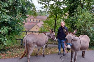 Kloster Maulbronn, im Vordergrund zwei Esel und ein Mädchen 