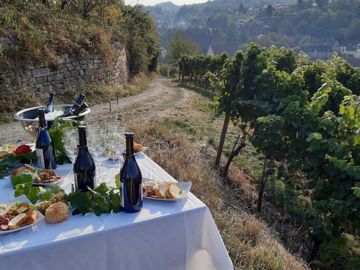 Foto: Staatliche Schlösser und Gärten Baden Württemberg, Petra Mohr Kloster Maulbronn, Weinberge mit Picknick